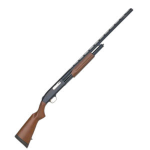 12 Ga